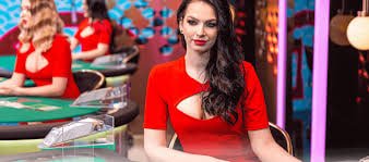 ক্যাসিনো বিনোদন গাইডে new casino হিরো দৃশ্য